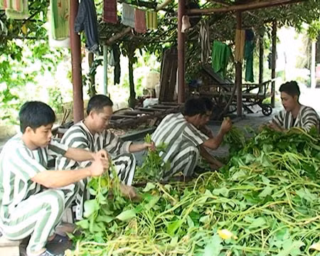 Phạm nhân Nguyễn Văn Tuấn và các phạm nhân khác đang lao động tại Trại tạm giam Vĩnh Phúc.