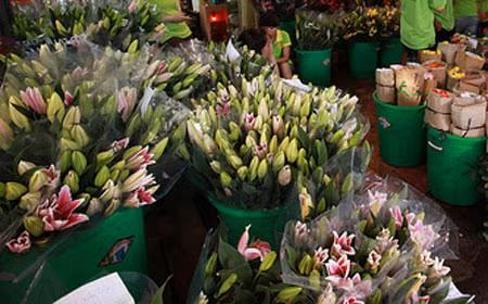 Quang cảnh chợ hoa Hồ Thị Kỷ.