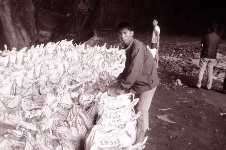 Hang dơi từ bao đời nay nuôi sống nhiều hộ gia đình.
