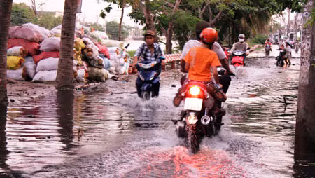 Bến Bình Đông, người dân không phân biệt được đường và bờ sông vì triều cường dâng cao.
