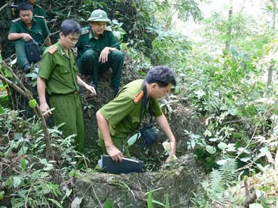 Ban chuyên án đang truy tìm tang vật trên núi đá.