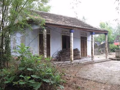 Làng vắng bóng thanh niên ảnh 1