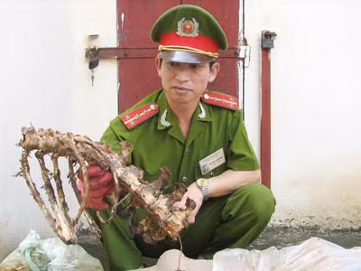 Về làng nấu cao ảnh 1