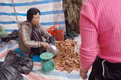 Những độc chiêu… “hô biến” mùa lễ hội chùa Hương ảnh 1