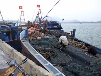 Cứu nạn trên biển: Ngư dân luôn cần một chiếc "phao" lớn ảnh 1