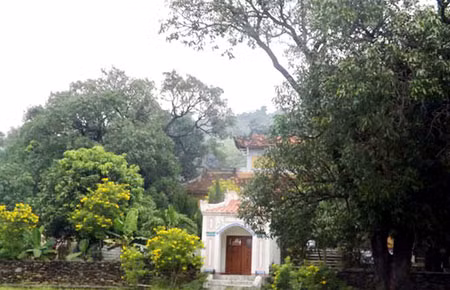 Chùa Từ Quang (Đá Trắng) - nơi có quần thể xoài vừa được công nhận là Cây di sản Việt Nam. Ảnh: Lê Xuân Thọ.