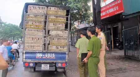 Xe chở gà lậu bị bắt sáng 23/6. Ảnh: Thanh Hương.