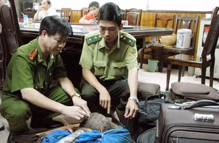 Số tê tê bị lực lượng Công an Trạm Cảnh sát ga Hà Nội phát hiện.