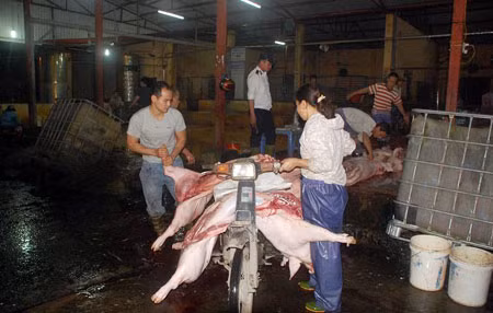 Lãnh đạo Hà Nội yêu cầu tăng cường công tác kiểm dịch, kiểm soát hoạt động giết mổ, kiểm tra vệ sinh thú y trên địa bàn TP. Ảnh minh họa.