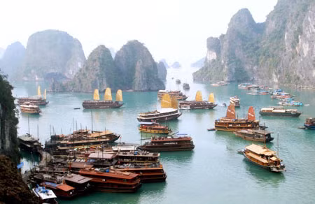 Lượng dầu thải mỗi ngày tại Vịnh Hạ Long là rất lớn.