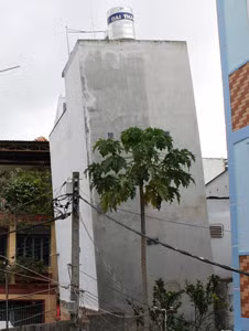 Công trình đang thi công của bà Sáo làm nhà ông Lợi (phía sau) bị nghiêng.