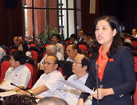 Đại biểu Quốc hội tỉnh Quảng Ngãi Đinh Thị Phương Lan phát biểu. Ảnh: TTXVN
