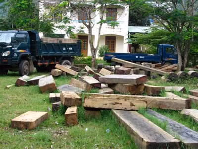 Phước Sơn (Quảng Nam): Hoạt động thăm dò vàng gốc đang tàn phá môi trường ảnh 1