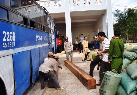 Xe khách biển số Lào chở động vật hoang dã và gỗ lậu bị bắt.