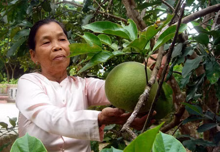 Người cựu chiến binh Phan Thị Quyệt bên thành quả lao động của mình.