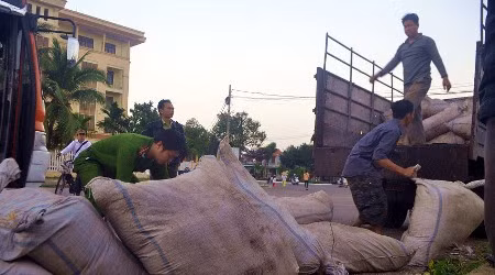Số mực khô sợi nghi là “mực nhựa”.