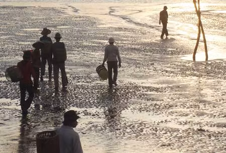 Từ lúc mờ sáng, họ đã lầm lũi tiến về phía biển.