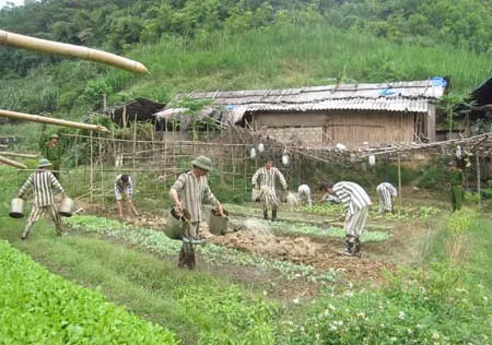 Phạm nhân lao động tại Trại tạm giam - Công an tỉnh Bắc Kạn.