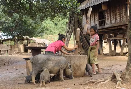 Trẻ em ở Tà Păng lớn lên chỉ quanh quẩn với nương rẫy, việc nhà rồi lập gia đình.