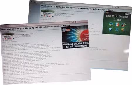 Một số trang web rao bán dữ liệu cá nhân.