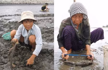 Tham gia "đội quân" mót nghêu, có cả cụ già, em nhỏ…
