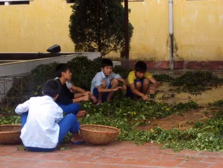 Chuyện đắng lòng của đứa trẻ hận đời bạc bẽo ảnh 1