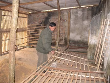 Anh Nguyễn Văn Thiện bên trại chăn nuôi bỏ hoang do đàn gà chết hết bởi dịch cúm gia cầm H5N1.