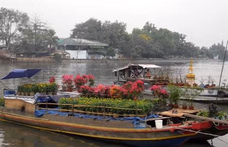 Các ghe kiểng đang đổ về chợ kiểng Tân Thuận Tây.