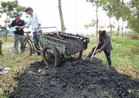Tràn lan vi phạm về quản lý chất thải nguy hại ảnh 1