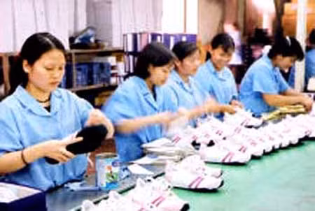 Xuất khẩu: Khi ta tự "trói" ta ảnh 1