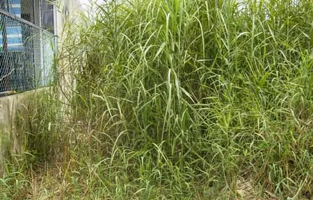 Nhiều chiêu lừa trên thị trường nhà đất ảnh 1