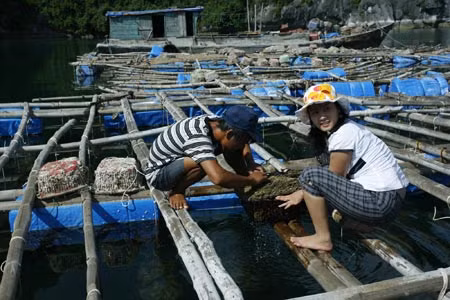 Một tác phẩm của Phạm Hoài Thanh.
