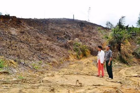 Người dân thôn 4, xã Hồng Tiến, bị BQLRPH Sông Hương thu hồi đất rừng đã khai hoang từ hàng chục năm trước.