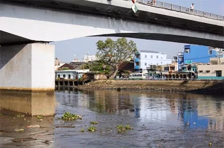 Thi thể nam giới trên bãi sình dưới chân cầu Kênh Tẻ ảnh 1