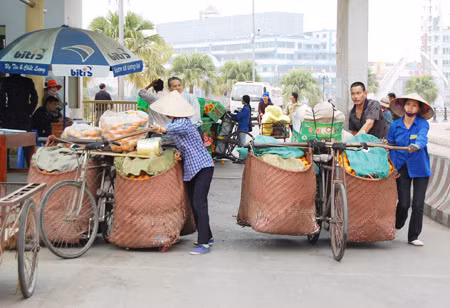 Nhiều bất cập khi siết chặt nhập khẩu hàng hóa có nguồn gốc thực vật ảnh 1