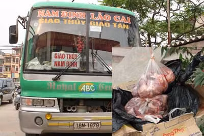 Chiếc xe ôtô khách chở hàng nhập lậu và thùng giấy đựng nội tạng động vật đã bốc mùi.