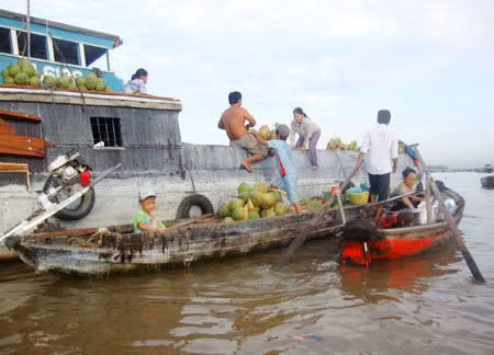 Chợ nổi.