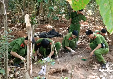 Đào xác ở nhà Bí thư xã Kim Long.