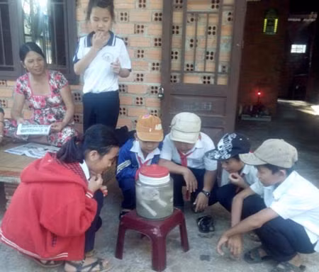Học sinh tan học kéo nhau đến xem heo voi.