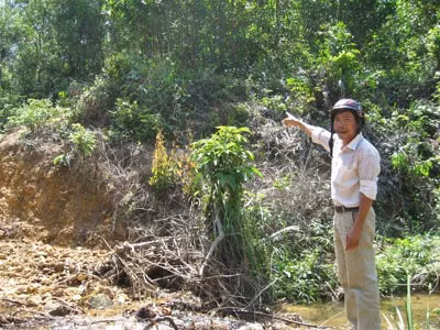 Mập mờ dự án trồng rừng sau lũ ảnh 1