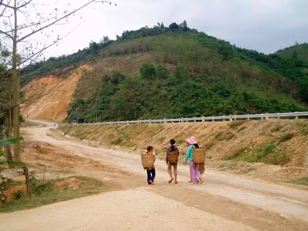 Đường vào đại ngàn Yang Ly.