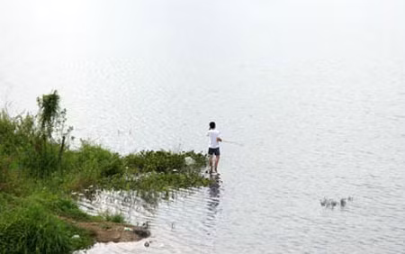 Những người đi câu cá ở hồ.