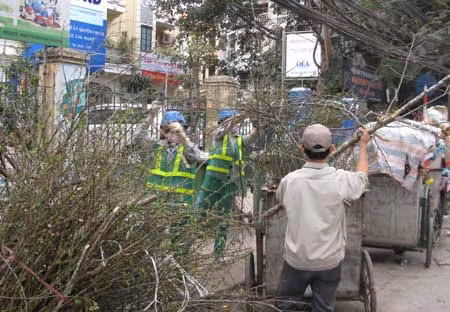 Những người cần mẫn làm đẹp phố phường đón Xuân ảnh 1