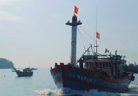 Ngư dân miền Trung hiên ngang vươn khơi, bám biển ảnh 1