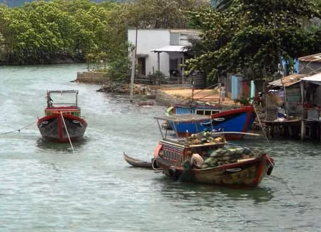 Đầm Thị Nại bị chiếm dụng trái phép để nuôi trồng, đánh bắt thủy sản ảnh 1