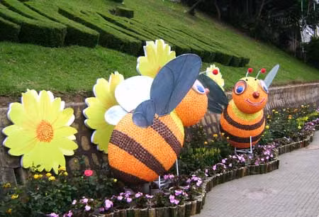 Đà Lạt rộn ràng đón Festival Hoa ảnh 1