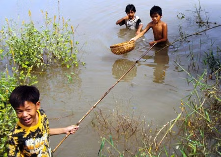 ĐBSCL: Cảnh báo tình trạng trẻ đuối nước trước mùa mưa lũ ảnh 2