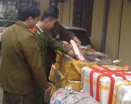 Bắt giữ gần 2 tấn cá, ếch từ Trung Quốc tuồn về Việt Nam ảnh 4