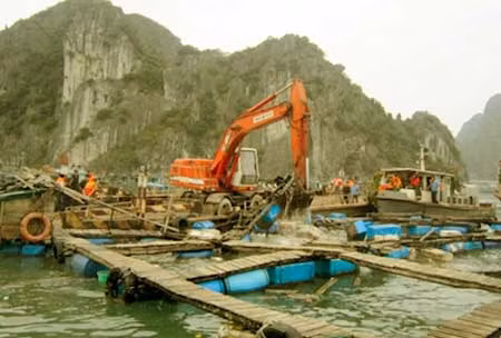 Cưỡng chế di dời các nhà bè hoạt động ở Hạ Long là đúng pháp luật ảnh 1
