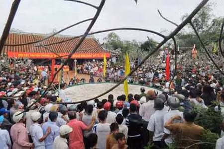 Tưng bừng hội vật làng Thủ Lễ ảnh 1